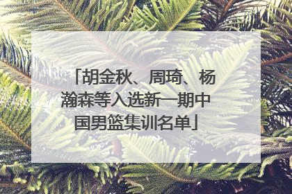 胡金秋、周琦、杨瀚森等入选新一期中国男篮集训名单